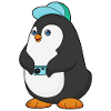 Penguin Photographer Camera