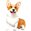 Corgi