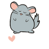 Chinchilla - I love Chinchilla