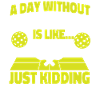 Pickleball A Day Without
