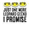 Plus qu’un gecko léopard que je promets