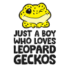 Léopard Gecko Reptile Seulement un garçon qui