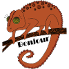 Chamäleon