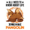 Pangolin Cadeau Pangolin
