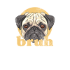 Pug