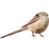 Long-tailed, Aegithalos caudatus