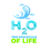 Water, the Molecule of life
