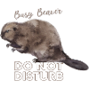 Busy Beaver