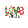 L'amore scese Luca 211 Gesù Bambino Natale