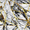 Marble Black White Gold Texture