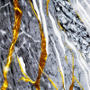 Marble Gold Texture