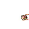 Start with Sushi