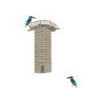 Münster, Rieselfelder, Vogelschutz, Eisvogel