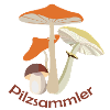 Pilzsammler.Mushroomer