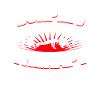 Burpees