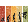 Skateboarder Skateboard Skater Skate Evolution