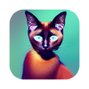 Siamese cat