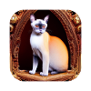 Siamese cat