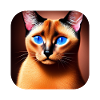 Siamese cat