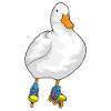 Duck Inline skating Inline skates