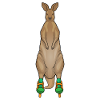 Kangaroo Inline skating Inline skates