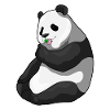 Panda lollipop