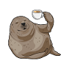 Seal Cup of Coffee
