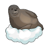 Seal Clouds