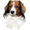 Kooikerhondje im Polygon Style