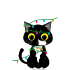 Merry X-mas