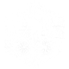 VTT Cyclisme VTT