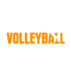 Volleyball Therapy Volleyball Player