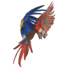 flying macaw parrot macaw