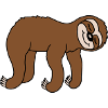 Lying tired sloth sleeps