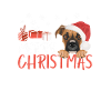 Boxer Merry Christmas