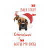 Boxer Merry Christmas