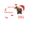 Boxer Joyeux Noël