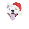 Bull Terrier Merry Christmas