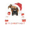 Marché de Noël Boxer