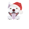 Bullterrier Frohe Weihnachten