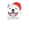 Bull Terrier Merry Christmas