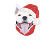Bull Terrier Merry Christmas