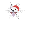 Bull Terrier Merry Christmas