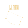 Gemini Zodiac Sign
