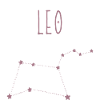 Leo Zodiac Sign
