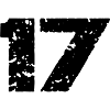 17 Number jersey