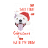 Bull Terrier Joyeux Noël