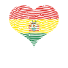 Bolivia - Bolivia Flag - Made in Bolivia