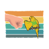 Budgerigar Parakeet Bird Pet Gift