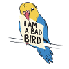 Budgerigar Parakeet Bird Pet Gift